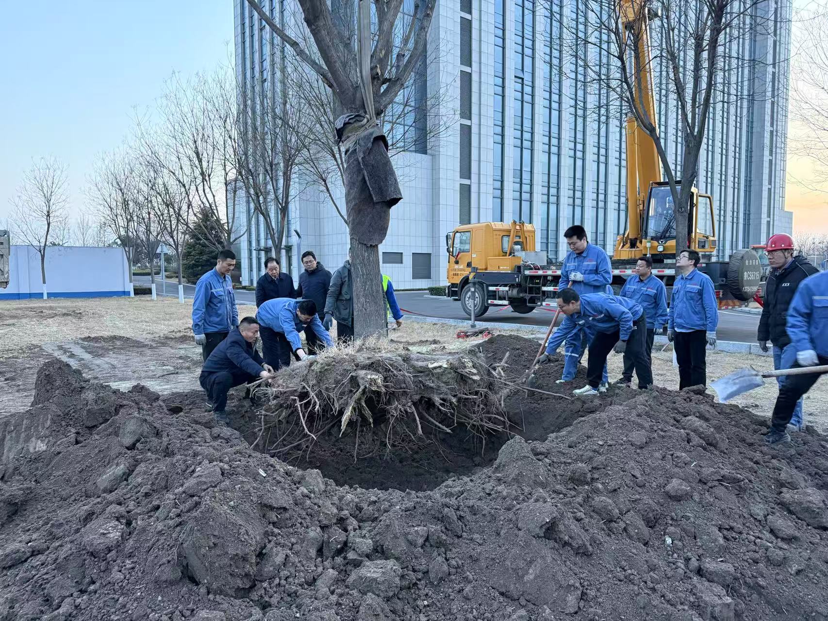 2025年3月1日齊峰干部職工合力栽下新春第一樹(shù)